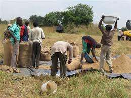 Objectives of Rural Youth Programmes in Agricultural Extension
