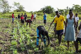 Philosophy of Rural Youth Programmes in Agricultural Extension