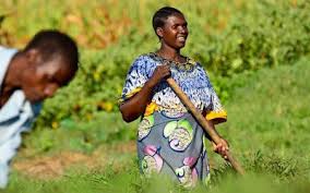Philosophy of Rural Youth Programmes in Agricultural Extension Philosophy of Rural Youth Programmes in Agricultural Extension