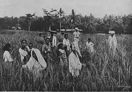 History of Rural Youth Programmes in Agricultural Extension History of Rural Youth Programmes in Agricultural Extension