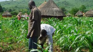 History of Rural Youth Programmes in Agricultural Extension History of Rural Youth Programmes in Agricultural Extension