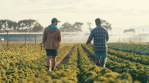 Agriculture Business Ideas for Aspiring Entrepreneurs