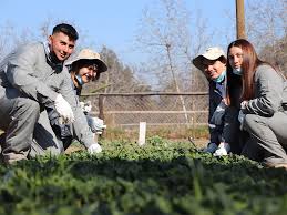 Examples Of Rural Youth Extension Programmes In Other Countries Examples Of Rural Youth Extension Programmes In Other Countries