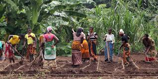 Examples Of Rural Youth Extension Programmes In Other Countries Examples Of Rural Youth Extension Programmes In Other Countries