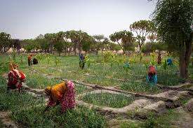 Methods for Measuring Population Dynamics in Agriculture