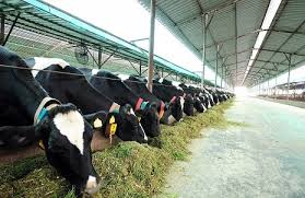 Concept and Meaning of Agriculture in Modern Times Concept and Meaning of Agriculture in Modern Times