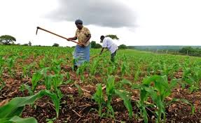 Prospects and Problems of Agriculture in Nigeria