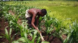 Prospects and Problems of Agriculture in Nigeria Prospects and Problems of Agriculture in Nigeria
