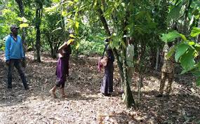 Prospects and Problems of Agriculture in Nigeria Prospects and Problems of Agriculture in Nigeria