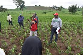 Measures for Improving Agricultural Development in Nigeria Measures for Improving Agricultural Development in Nigeria