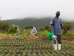 Agriculture and the Natural Environment in Nigeria Agriculture and The Natural Environment in Nigeria