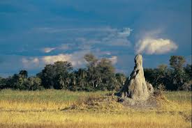 Agriculture and the Natural Environment in Nigeria Agriculture and The Natural Environment in Nigeria