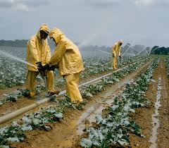 Agriculture and the Natural Environment in Nigeria Agriculture and The Natural Environment in Nigeria