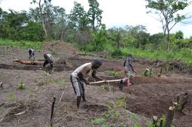Land-use and Land Tenure System in Agriculture Land-use and Land Tenure System in Agriculture