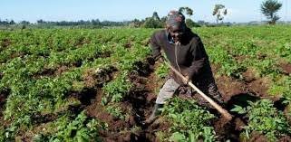 Land-use and Land Tenure System in Agriculture Land-use and Land Tenure System in Agriculture