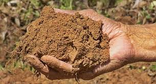 The Best Soils For Agricultural Production