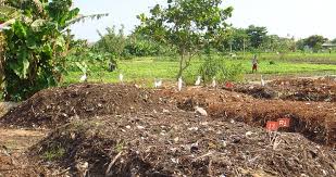 The Best Soils For Agricultural Production The Best Soils For Agricultural Production