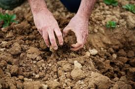 The Best Soils For Agricultural Production The Best Soils For Agricultural Production