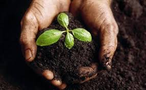 The Best Soils For Agricultural Production The Best Soils For Agricultural Production