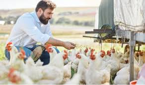 Poultry Production and Management Poultry Production and Management
