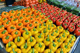 Storage of Farm Produce and Its Importance in Agriculture