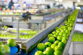 Storage and Shelf-Life Challenges in Agricultural Crop Products Storage and Shelf-Life Challenges in Agricultural Crop Products