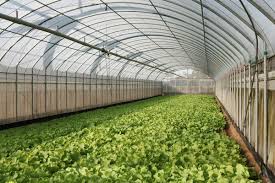 Principles of Controlled Environment for Transit in Agricultural Produce Handling
