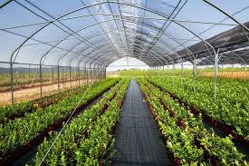Principles of Controlled Environment for Transit in Agricultural Produce Handling Principles of Controlled Environment for Transit in Agricultural Produce Handling