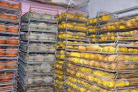 Principles of Controlled Environment in Long-Term Storage of Agricultural Produce
