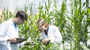 Introduction to Biotechnology in Agriculture Introduction to Biotechnology in Agriculture