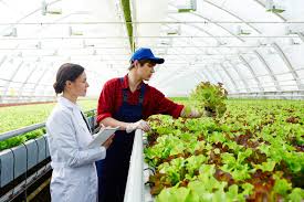 Tools of Biotechnology in Agricultural Genetic Transformation