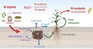 Role of Nitrogen in Supporting Agricultural Life and the Biosphere