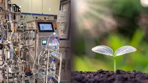 Understanding Biofertilizers and Their Role in Sustainable Agriculture Understanding Biofertilizers and Their Role in Sustainable Agriculture