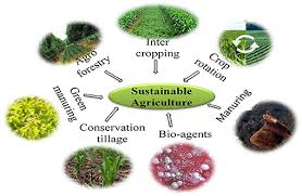 Role of Environmental Resources in Crop Growth and Development