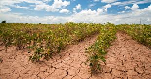 Introduction to the Influence of Global Warming on Water Stress in Plants