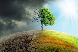 Introduction to the Influence of Global Warming on Water Stress in Plants Introduction to the Influence of Global Warming on Water Stress in Plants
