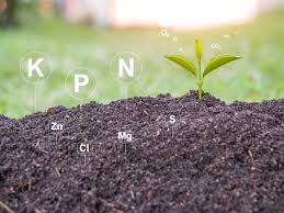 Role of Plant Nutrients in Agriculture Role of Plant Nutrients in Agriculture