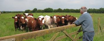 Concept of Grazing Management in Pasture-Based Livestock Farming Concept of Grazing Management in Pasture-Based Livestock Farming