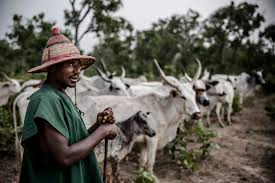 Types of Grazing Management Systems in Nigerian Livestock Farming Types of Grazing Management Systems in Nigerian Livestock Farming