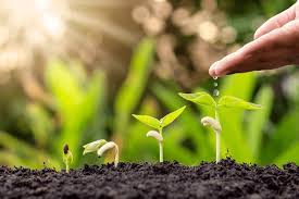 Some Key Growth Measurements in Crops