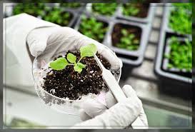 The Gene and Its Role in Heredity Agricultural Genetics The Gene and Its Role in Heredity Agricultural Genetics