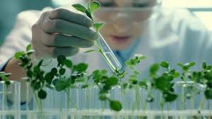Recurrent Selection in Plant Breeding: Types and Methods