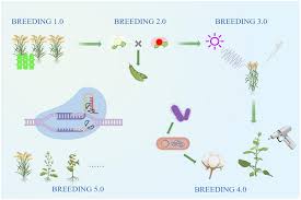 Recurrent Selection in Plant Breeding: Types and Methods Recurrent Selection in Plant Breeding: Types and Methods