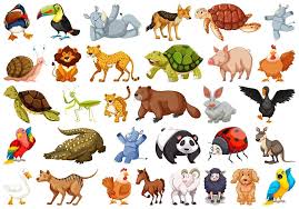 Complete List of Some Wild Animals