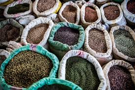 Seed Production and Distribution in Crop Agriculture