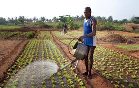 Importance and Purpose of Irrigation in Agriculture Importance and Purpose of Irrigation in Agriculture