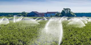 Importance and Purpose of Irrigation in Agriculture Importance and Purpose of Irrigation in Agriculture