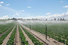 Critical Growth Stages for Water in Different Field Crops Critical Growth Stages for Water in Different Field Crops