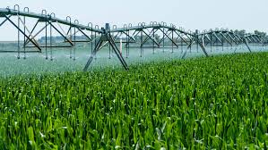 Crop Water Requirement in Agricultural Production