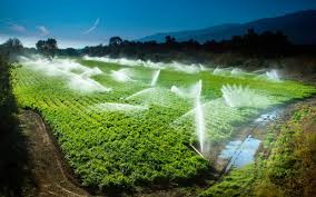 Crop Water Requirement in Agricultural Production Crop Water Requirement in Agricultural Production